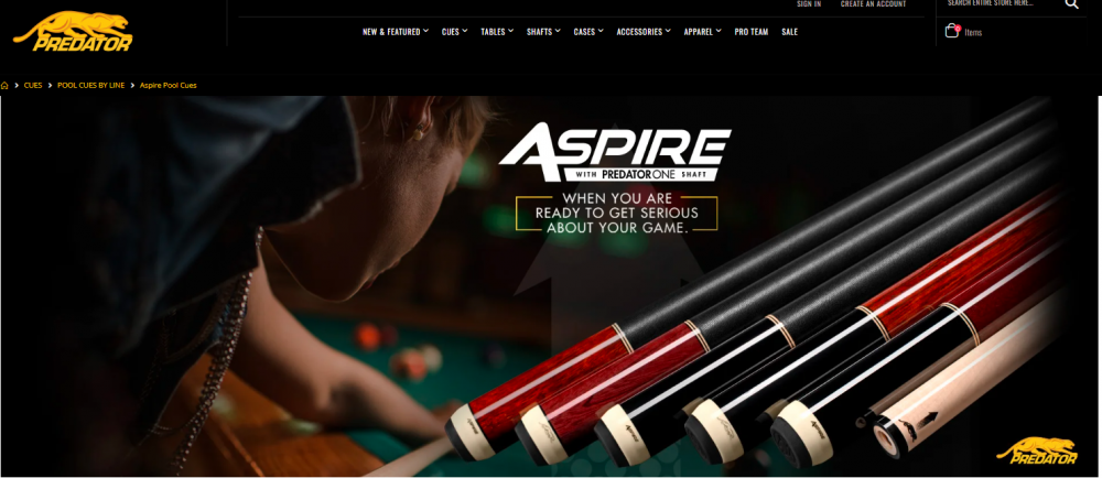 Predator Aspire Pool Cues