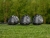 Qi35 Driver Taylormade 2025