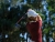 Qi35 LS Driver Taylormade 2025