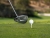 Qi35 Max Driver Taylormade 2025