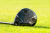 PXG 0311 BLACK OPS FAIRWAYS