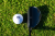 PXG 0311 BLACK OPS HYBRIDS USA 2024