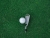 P770 Irons