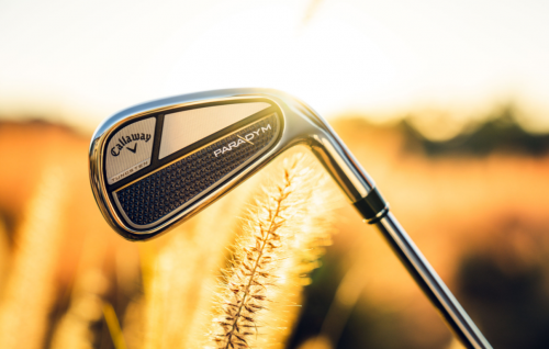 Paradym Irons 2023