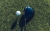 Paradym Triple Diamond Drivers 2023