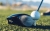 Paradym Drivers 2023