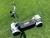 Xe Golf - GOLFBOARD PRO