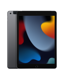 iPad 9th 2021 - Wifi 256GB - Brand New 100% LL/A